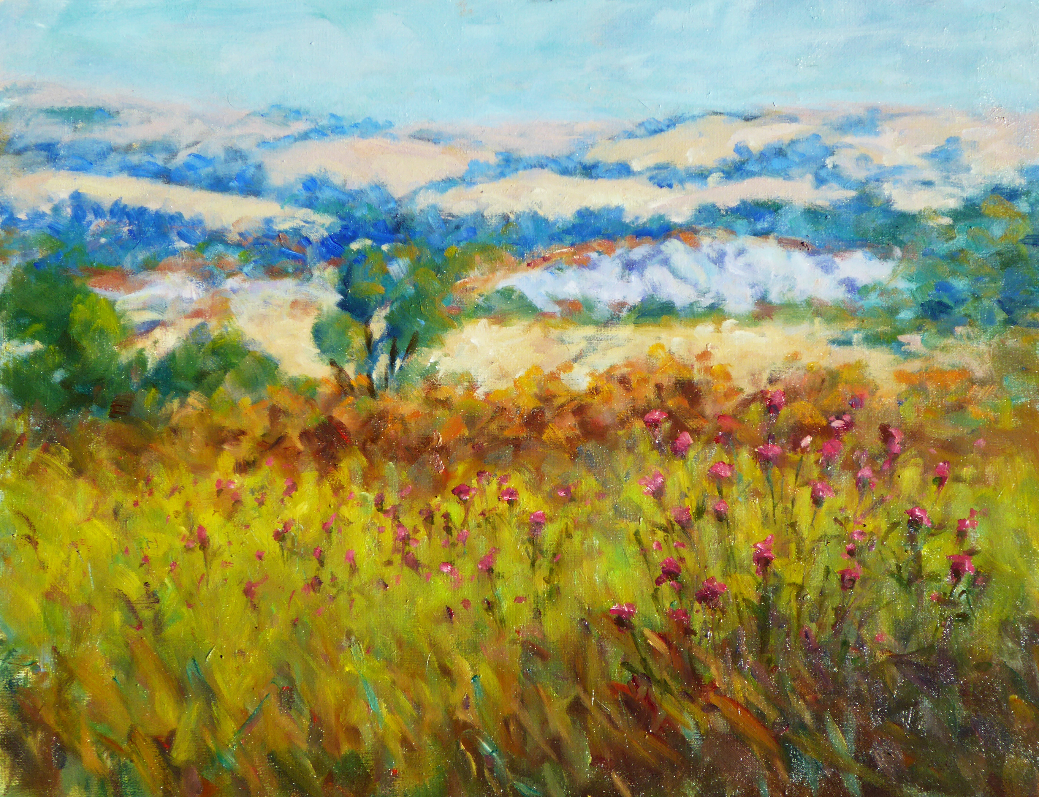 Kilmacarragh,Co Wicklow